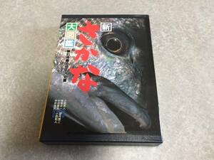 新さかな大図鑑―釣魚 カラー大全 荒賀 忠一 (著) 中坊 徹次 (著), 今井 浩次 (著)