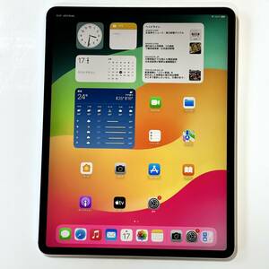 Apple SIMフリー iPad Pro (12.9インチ) (第3世代) シルバー 256GB NT6J2TH/A Wi-Fi+Cellular アクティベーションロック解除済