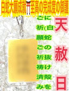 白蛇の抜け殻 キーホルダー サムハラ 厄祓い 魔除け 開運 神字 神代文字 カタカムナ メモリーオイル 白蛇のお守り【天赦日ご祈祷済み】25