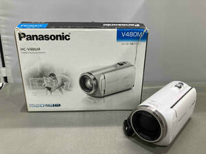 Panasonic HC-V480M ムービー (17-10-07)
