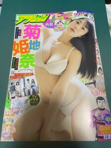 漫画アクション　2023年　13号　クリアファイルなし　応募券類なし　菊地姫奈