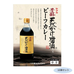 ご当地カレー 広島 川中醤油天然かけ醤油ビーフカレー 中辛 10食セット