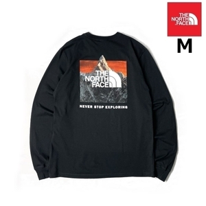 1円～!売切!【正規新品】THE NORTH FACE◆L/S BOX NSE TEE 長袖 Tシャツ ロンT US限定 ボックスロゴ バックプリント(M)黒 180902-20