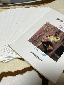 神奈川虫報　神奈川昆虫談話会　100号(1992年)　150号　記念号　昆虫