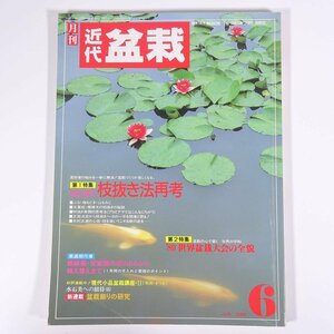 月刊 近代盆栽 No.140 1989/6 近代出版 雑誌 盆栽総合誌 園芸 ガーデニング 植物 特集・松柏・雑木 枝抜き法再考 ’89世界盆栽大会の全貌