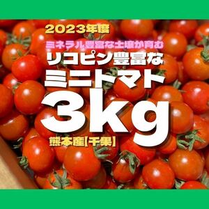 ミニトマト　3キロ　野菜　熊本産　地直送　弁当　おかず　トマト　ミネラル