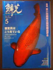 鱗光 2014 5 速報第31回錦鯉全国若鯉品評会