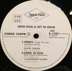 【レア/JPN盤(promo)/disco/12/B-1081】canyon special dj copy for dancing / stress, song in blue, i wanna be with you - amir bayyan