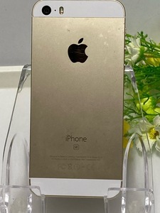 ジャンク品 部品 Apple iPhone SE 第1世代 A1723 GB不明 本体 スマートフォン A5744