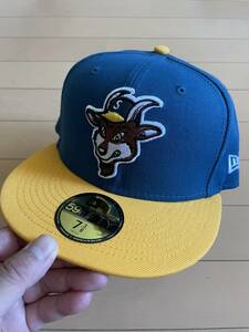 シュプリーム ニューエラ goat グリーン イエロー シュプリーム supreme ニューエラ New Era ベースボールキャップ 帽子　