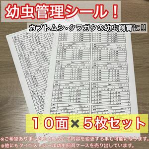 【即日or翌日発送】幼虫管理ラベルシール 5枚セット