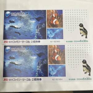 【K-28145】 新江の島水族館 YFC 読売ファミリーサークル ご招待券 2枚セット 2024年6月30日 1円スタート