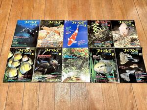 希少 フィッシュマガジン 10巻セット 1984年 昭和59年 FISH MAGAZINE 緑書房 趣味 勉強 研究資料 学術 コレクションに