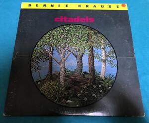 LP●Bernie Krause / Citadels Of Mystery USオリジナル盤 TAK 7074 ロフト・クラシック アナログ・シンセ