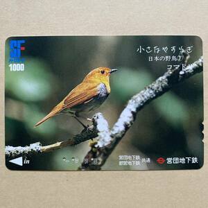 【使用済】 野鳥メトロカード 営団地下鉄 東京メトロ 小さなやすらぎ 日本の野鳥⑦ コマドリ