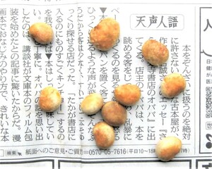 ピタンガ　（ブラジルチェリー）　種子８個　果実だけでなく観葉としても優れもの　送料込み