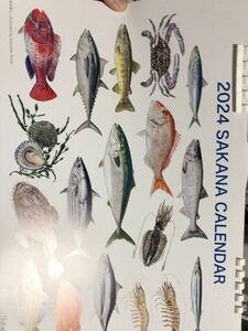 まぐろ　かに　たら　など　魚　カレンダー　絵手紙　絵　絵画　見本　釣り　佐川地域毎料金or郵便要事前連絡