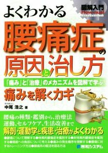 図解入門　よくわかる腰痛症の原因と治し方 「痛み」と「治療」のメカニズムを図解で学ぶ！　痛みを解くカギ Ｈｏｗ‐ｎｕａｌ　Ｖｉｓｕａ