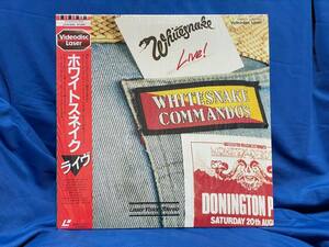 LD レーザーディスク Whiteanake Live! 1983