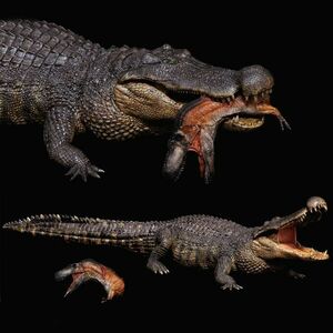 REBOR 1/35 サイズ デイノスクス ワニ 獣脚類 恐竜 動物 フィギュア 模型 プラモデル 大人 おもちゃ オブジェ 置物 プレゼント 2点 灰