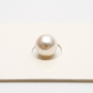 アコヤ真珠パールルース　両穴　7.5-8.0mm　ホワイトピンクカラー