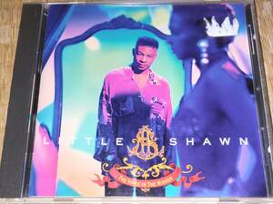 HIP HOP /Little shawn / the voice in the mirror