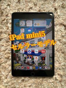 iPad mini5