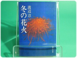 冬の花火 渡辺淳一 集英社/aa4240