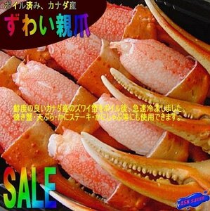 3箱、美味「ずわい親爪M-1kg」(1パック41-50本入り)AA級品...食べやすい、リングカット