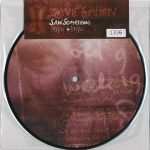 DAVE GAHAN/SAW SOMETHING/EU盤/新品7インチピクチャー!! 商品管理番号：00178