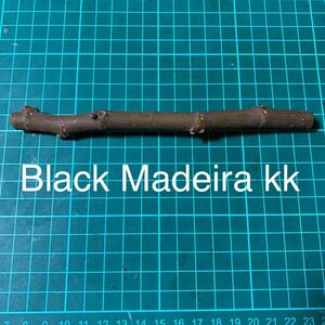 Black Madeira kk 穂木 いちじく穂木 イチジク穂木 