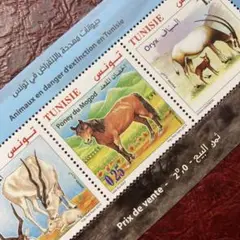 52532現品限り　外国切手未使用　チュニジア発行動物小型シート