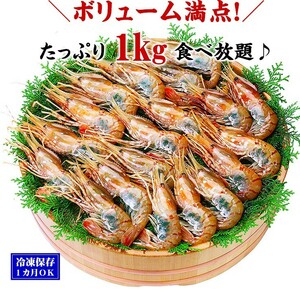 透き通る身と濃厚なエビ味噌が高鮮度の証！【牡丹海老】【ぼたんえび】【牡丹えび】【ボタンエビ】【刺身】