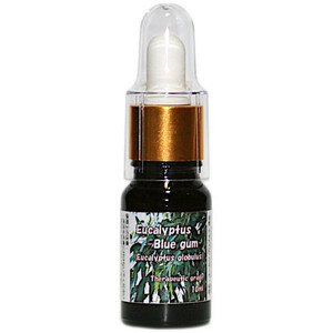 【即決】10ml ユーカリプトゥス グロブルス 中国 精油 エッセンシャルオイル Eucalyptus globulus 100%天然 送185 同梱可