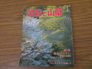 盆栽と山草　1979　2　　【特集】野生のスミレ /植