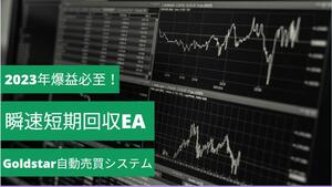 ★【FX 2024年爆益！今年5か月平均月利48.4万円 GoldstarEA】自動売買システム★初心者の方も安心のフォロー有り★8デモ口座公開中～★　