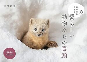 北の森に生きる愛らしい動物たちの素顔カレンダー2024（壁掛け）