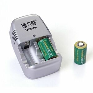 DELLIPOW CR2 リチウム充電電池2本とCR2専用充電器セット高品質ブランド品 15270電池充電器セット 送料無料