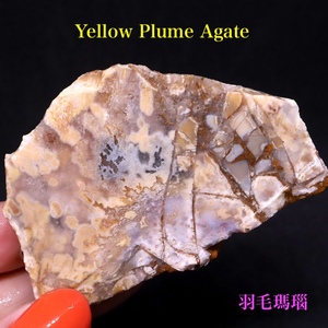 【送料無料】イエロープルーム アゲート 瑪瑙 67g YPA024 鉱物 原石 天然石 パワーストーン