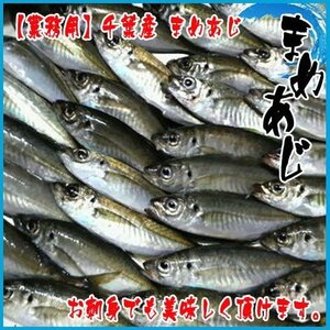 【業務用】千葉産 まめあじ 1箱約2kg前後 （1尾 約10-40g前後） じんた ジンタ アジ 鯵 豆アジ