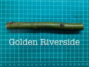 いちじく Golden Riverside 挿し穂 1本（穂木・挿木）@1741