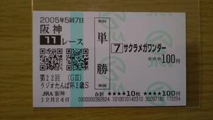 サクラメガワンダー　2005年　ラジオたんぱ杯２歳ステークス　阪神競馬場