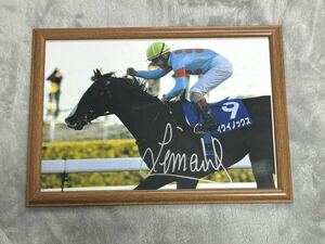 「競馬 イクイノックス クリストフ・ルメール 直筆サイン入り A4写真 証拠有」武豊 藤田菜七子 ゼッケン デムーロ グッズ 馬券 ぬいぐるみ