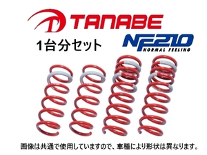 送料無料 タナベ NF210 ダウンサス (1台分) レクサス RX 270 AGL10W　AGL10WNK