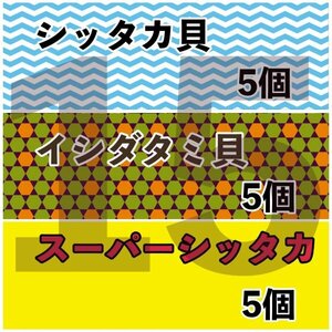 【各5匹 合計15匹】海水水槽コケ取り貝　3種セット　シッタカ　スーパーシッタカ　イシダタミ　★コケトリ貝