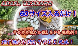 農家自家製お任せ乾燥野菜　60サイズ入るだけ発送！