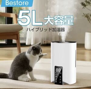 か3 加湿器 ハイブリッド加湿器 卓上 加熱式 Bestore 大容量 5L 除菌 マイナスイオン機能 LP-2110