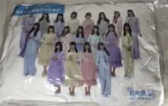 日向坂46 ローソンくじ　ラストワン賞　BIGクッション