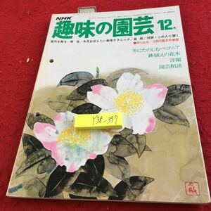 Y38-337 NHK 趣味の園芸 12月号 昭和52年発行 室内に飾る 樹芸 栽培テクニック 盆栽 冬に楽しむベゴニア 鉢植えの花木 洋蘭 など