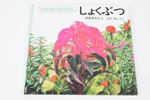 はじめてであうずかん しょくぶつ 絵:高森登志夫 指導:古谷一穂　絵本 図鑑 植物